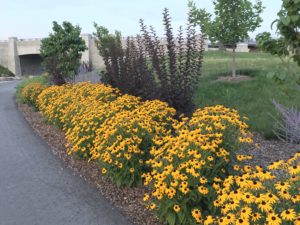 Ester Simplot Park